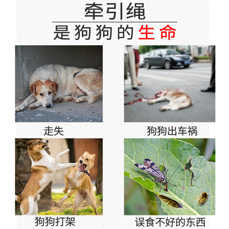 背心式狗狗牵引绳遛狗绳子狗链子泰迪比熊柯基中小型犬胸背带用品 - 图2