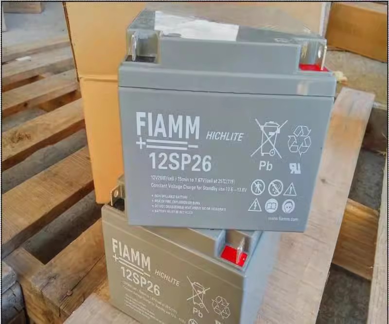 FIAMM12SP100/12V100AH 26/33/42/65/55/100/150/205AH - 图3