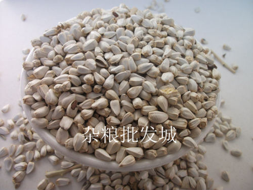 宠物新粮红花子/红花籽/白瓜子仓 鹦鹉 鸟食一件是一斤 满5斤包邮 - 图0
