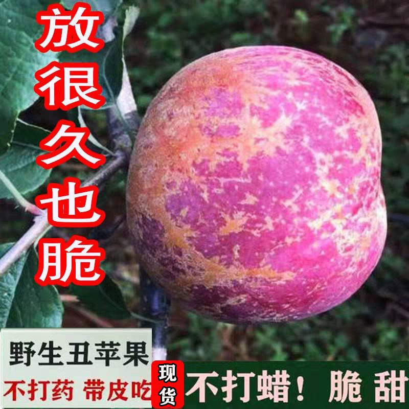 苹果水果冰糖心丑苹果新鲜大个云南邵通大凉山一级精品10斤整箱脆