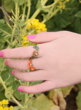 palnartpoc罂粟花送送女朋友