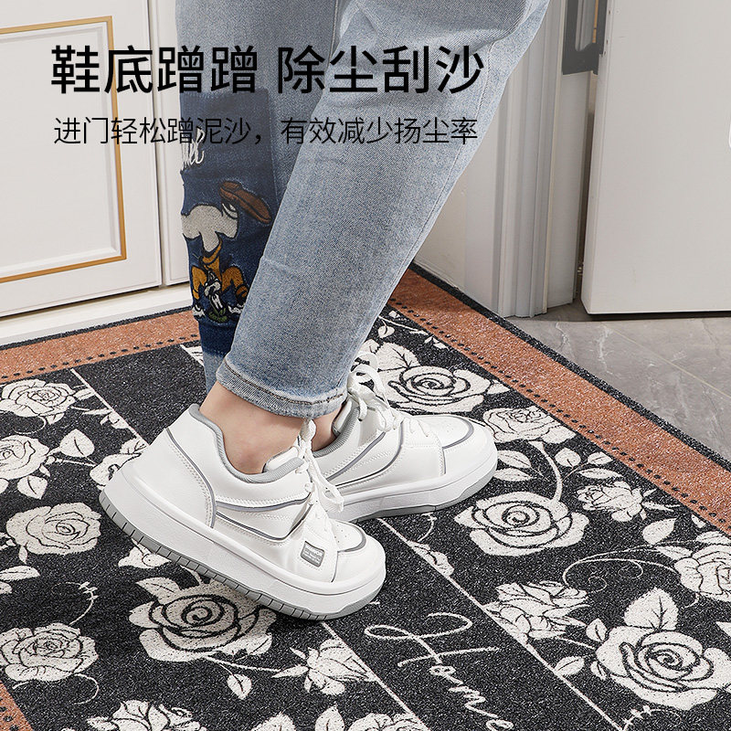 入户门地垫进门大门口丝圈门垫2025新款耐脏脚垫防滑除尘玄关地毯,淘宝优惠券,粉丝福利购,淘宝优惠卷