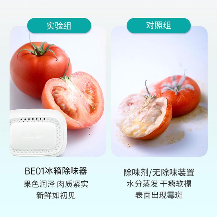 世净EraClean冰箱除味器臭氧消毒杀菌去异味神器净化舌尖卫士