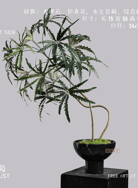 妖及仿真孔雀木落地盆栽摆件