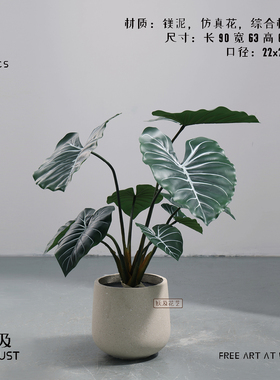 妖及 现代自然简约落地绿植组合 客厅沙发转角玄关入户阳台搭配