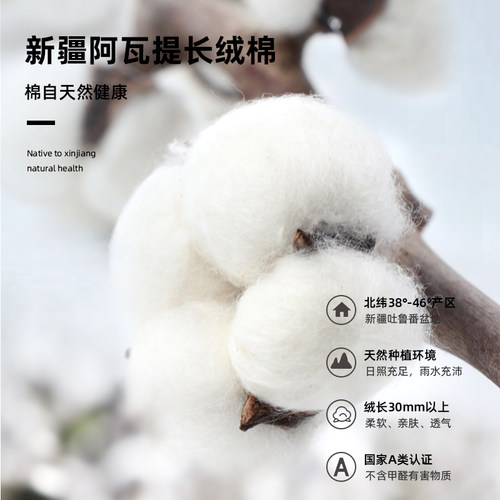 洁丽雅抗菌毛巾 纯棉洗脸洗澡家用成人男女全棉柔软吸水不易掉毛 - 图1