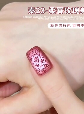 网红爆款柔雾玫瑰猫眼美甲材料包