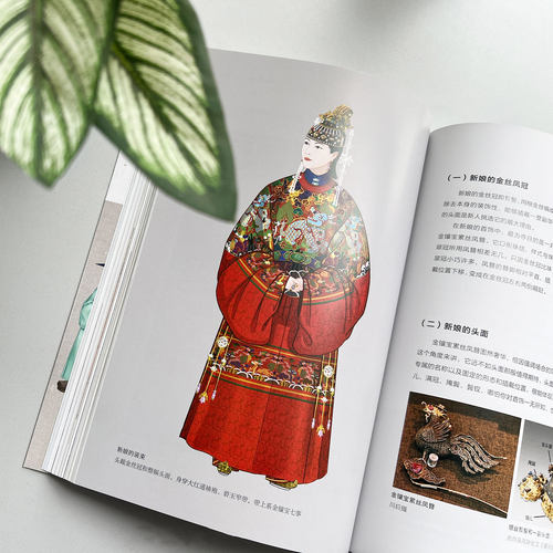 我在明朝穿什么 图解中国传统服饰明制汉服明朝传统服饰中国风男女古装历史科普图鉴影视古代服装设计师参考书籍 - 图1