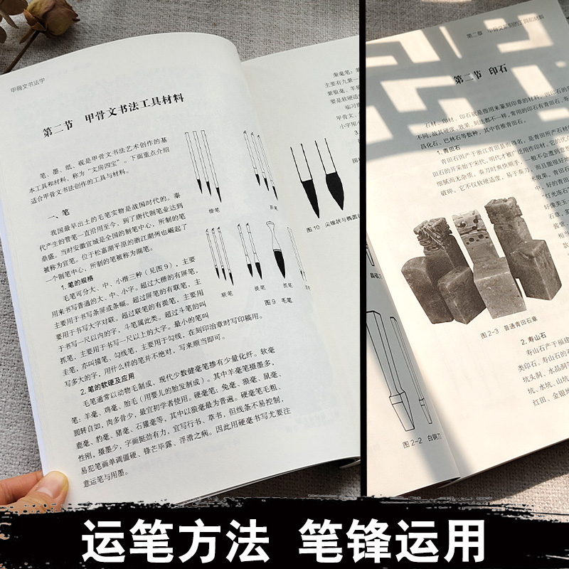 正版甲骨文书法学+甲骨文篆刻学王本兴/著甲骨文篆刻书法艺术书法技法/教程甲骨文字帖甲骨文字典书籍北京工艺美术出版社-图0