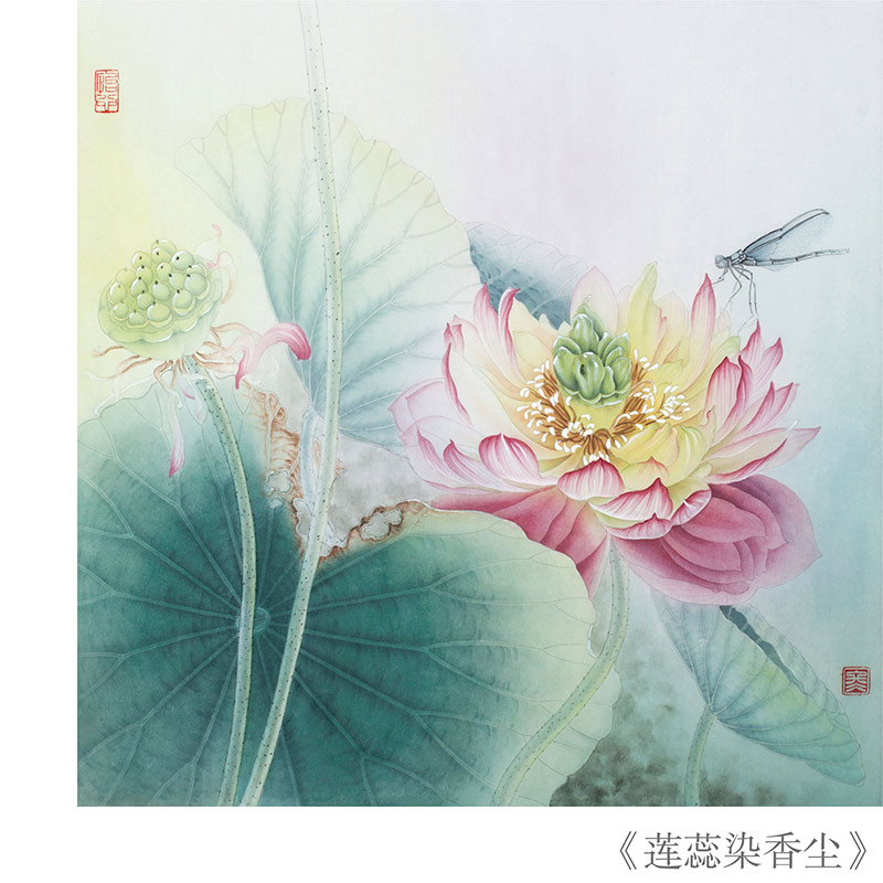 正版荷花草虫小品白描画稿杨冬冬绘艺术绘画绘画技法工笔画家新创作的白描画稿北京工艺美术出版社书籍-图2