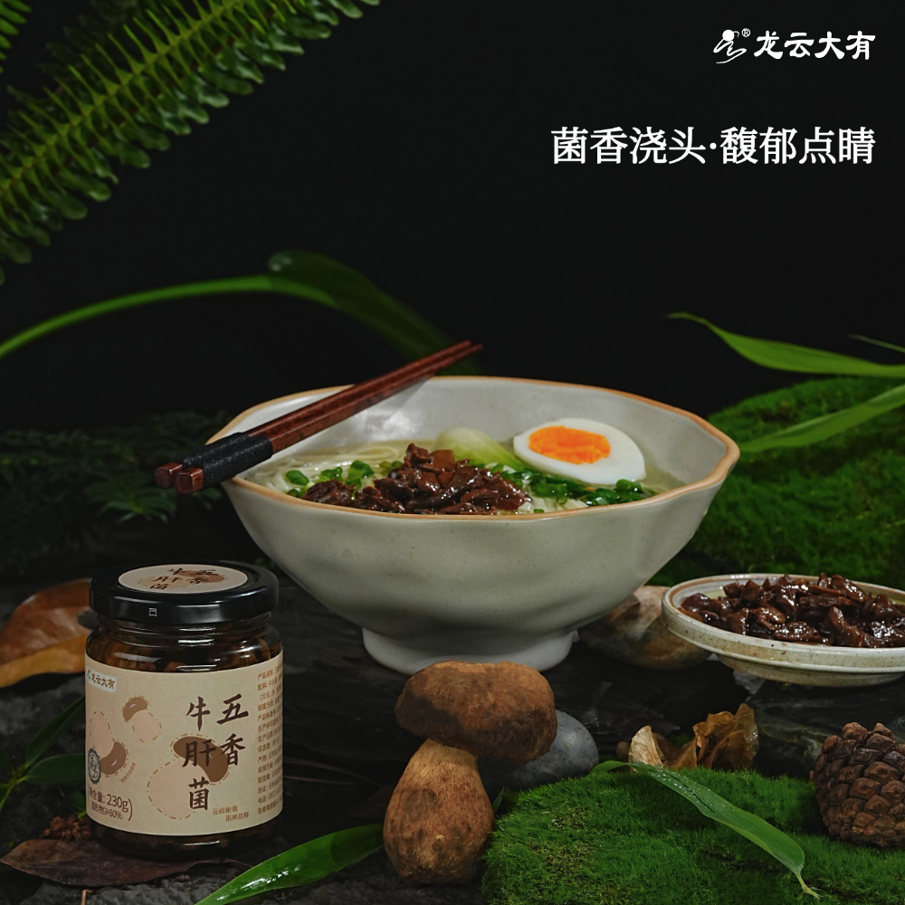 龙云大有五香牛肝菌菇云南野生牛肝菌下饭酱拌面酱罐头不掺杂菌 - 图0