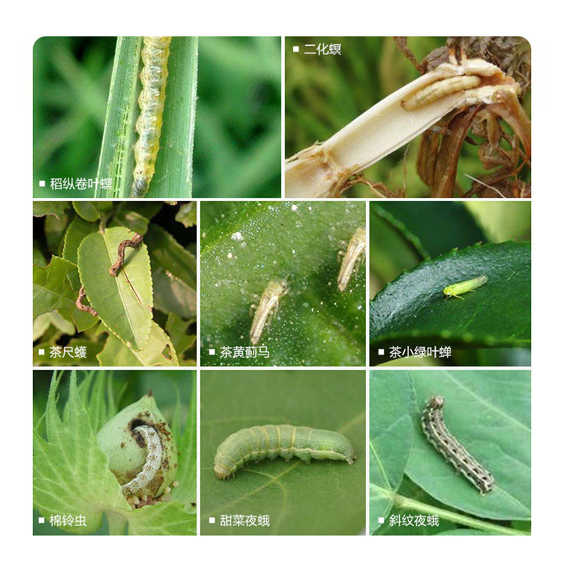 12%甲维盐虫螨腈睛杀虫剂 卷叶虫菜青虫甜菜夜蛾斜纹夜蛾,淘宝优惠券,粉丝福利购,淘宝优惠卷