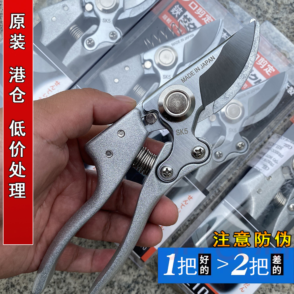 粗花枝果树 新人首单立减十元 21年8月 淘宝海外 粗花枝果树 新人首单立减十元 21年8月 淘宝海外