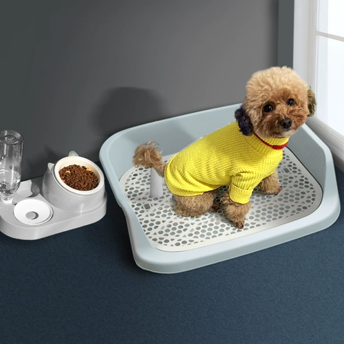 Собачья туалет среднего размера