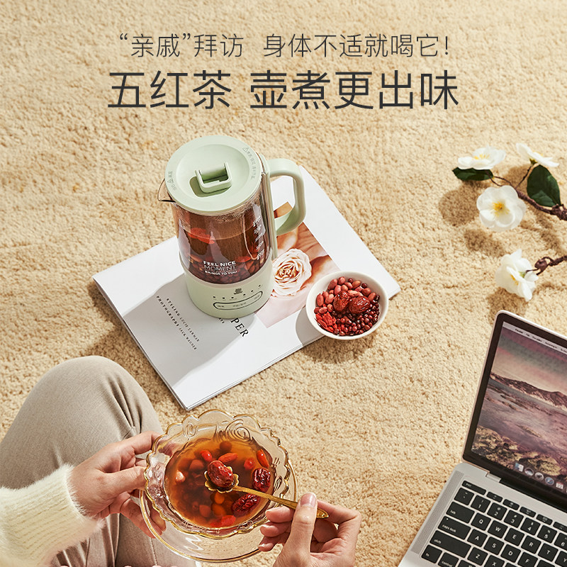 小白熊mini办公室多功能小型养生壶 小白熊母婴用品养生壶/煎药壶