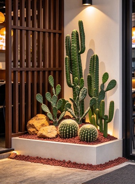 仿真仙人掌仙人球沙漠植物装饰品