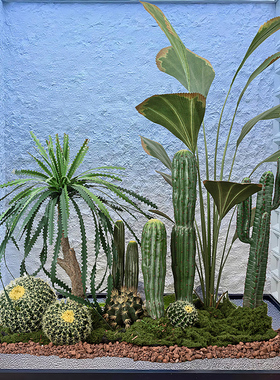 仿真绿植沙漠仙人掌沙生植物造景