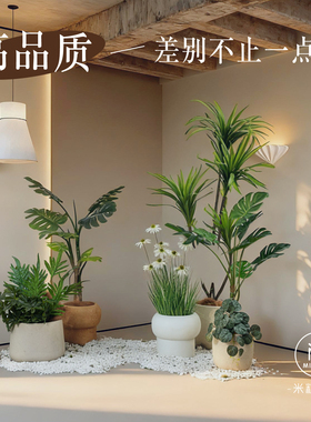 高级感仿真提根龟背竹绿植盆栽