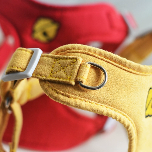 ДОЛИТЕЛЬНА