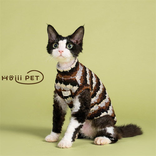 HOiii PET 秋冬彩色毛衣背心德文猫衣服无毛猫保暖加厚潮流针织衫 - 图0