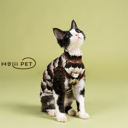 HOiii PET 秋冬彩色毛衣背心德文猫衣服无毛猫保暖加厚潮流针织衫 - 图2