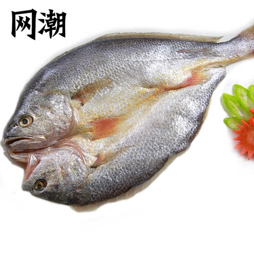 舟山特产渔家风味晒制鱼干 深水生态脱脂黄鱼鲞1条6-8两 3条包邮 - 图3