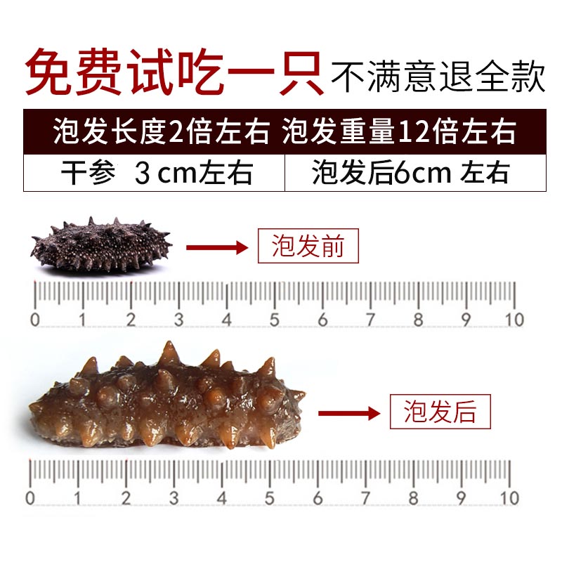 大连野生淡干小海参干货孕妇礼盒特价非即食海渗海叁辽参刺参海生 - 图0