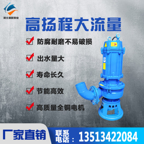 潜水渣浆泵抽沙泵ZJQ立式河道清淤泥浆泵耐磨抽泥沙抽沙机吸砂泵 - 图2