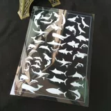 Jing Cuiyuan Diy Crystal Каплы материалов Черно -белый материал.