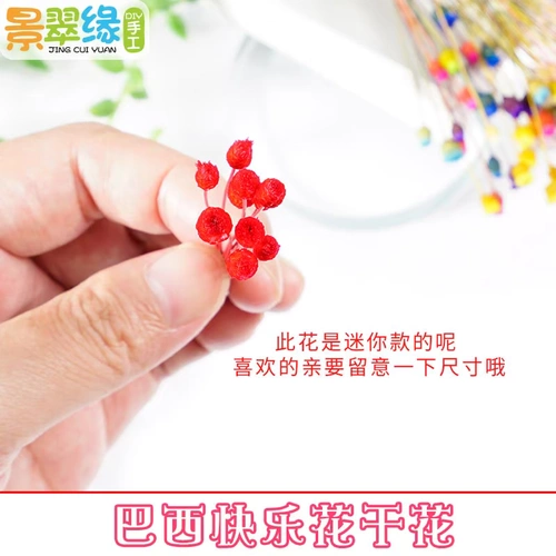 景翠缘 快乐 花原 干燥 小花 苞花 骨朵 艺术 DIY 干花 快乐 花 水晶滴胶 水晶滴胶 水晶滴胶