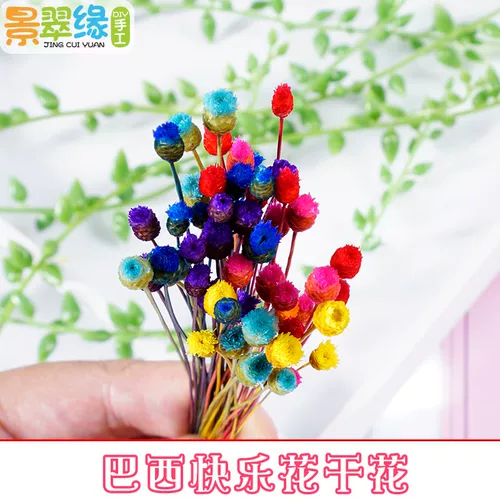景翠缘 快乐 花原 干燥 小花 苞花 骨朵 艺术 DIY 干花 快乐 花 水晶滴胶 水晶滴胶 水晶滴胶