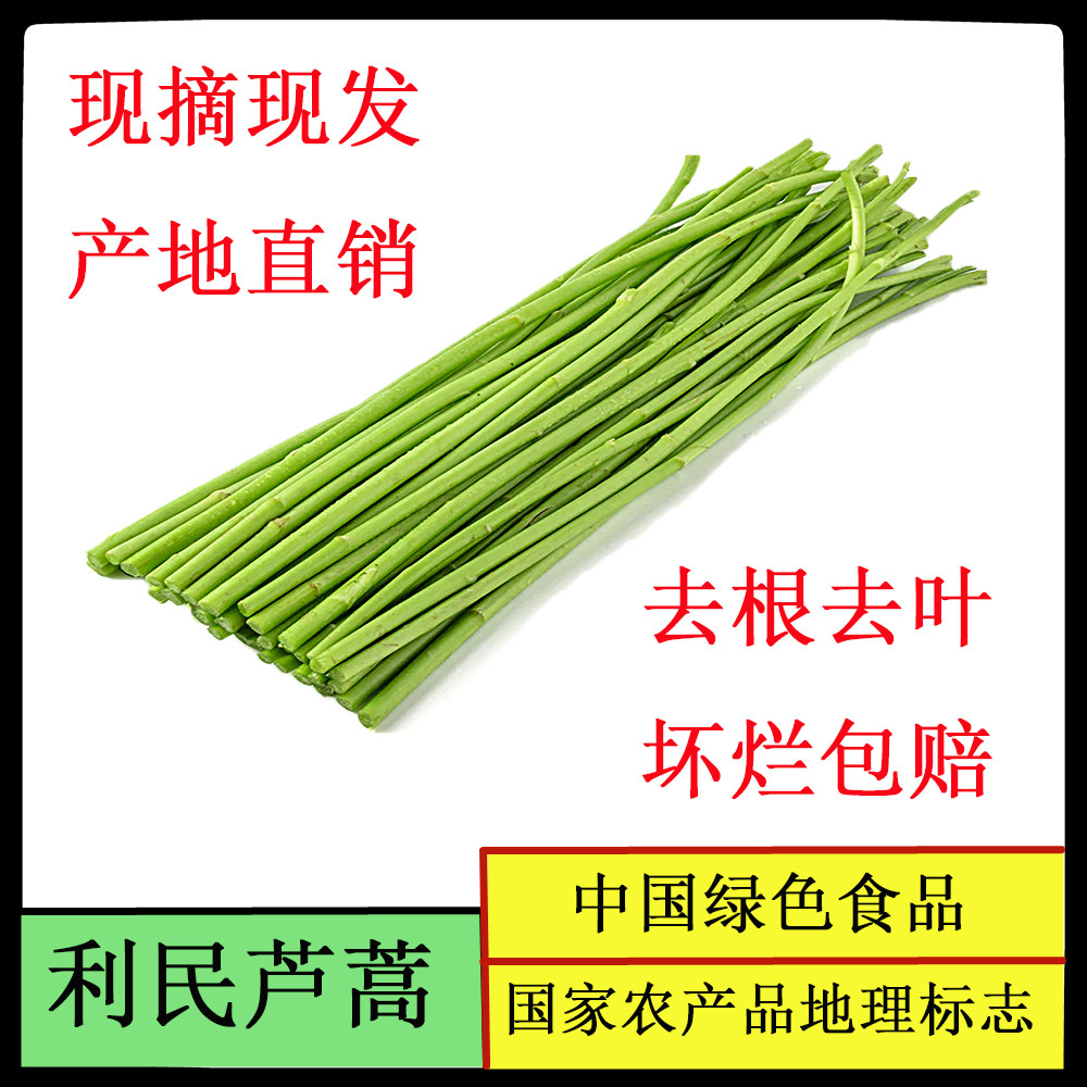 利民芦蒿产地直销去叶去根新鲜净蒿青白蒿黎蒿食用农产品绿色食品