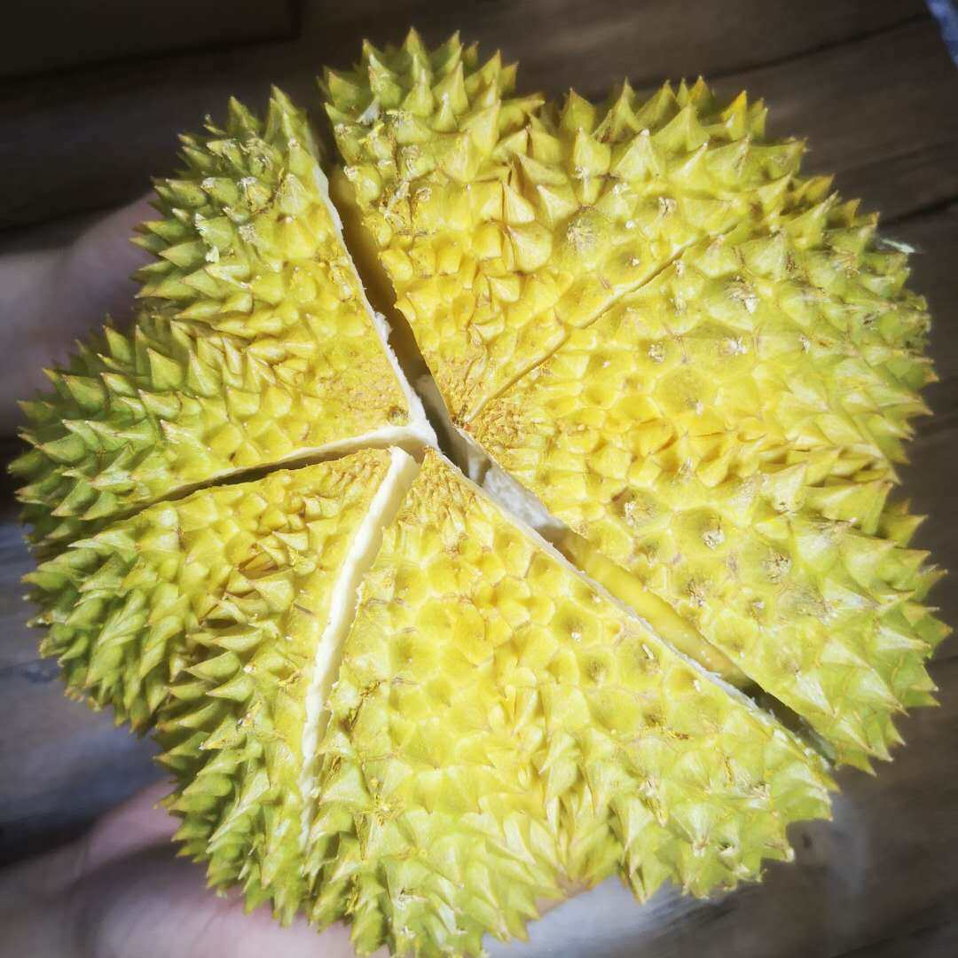 a级泰国进口液氮金枕干尧新鲜榴莲 歌慕榴莲