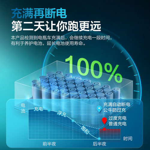 公牛电动车充电保护器自动断电适用台铃电瓶车电源防过充定时插座 - 图1