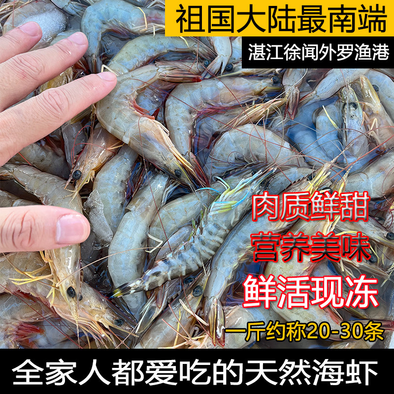 Zhanjiang fresh white shrimp