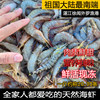 Zhanjiang fresh white shrimp