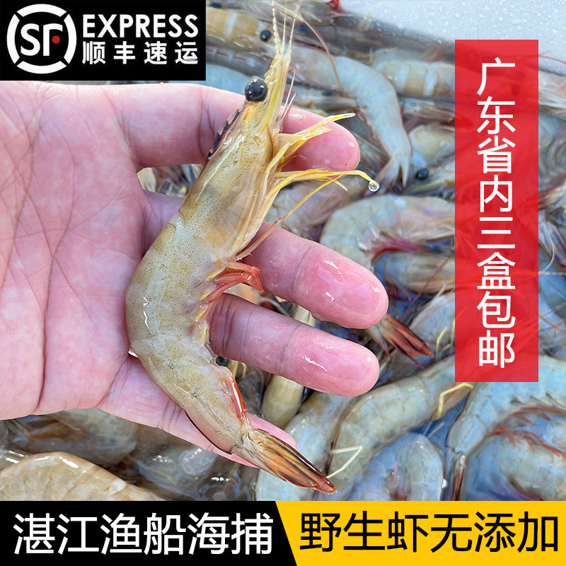 Zhanjiang fresh white shrimp