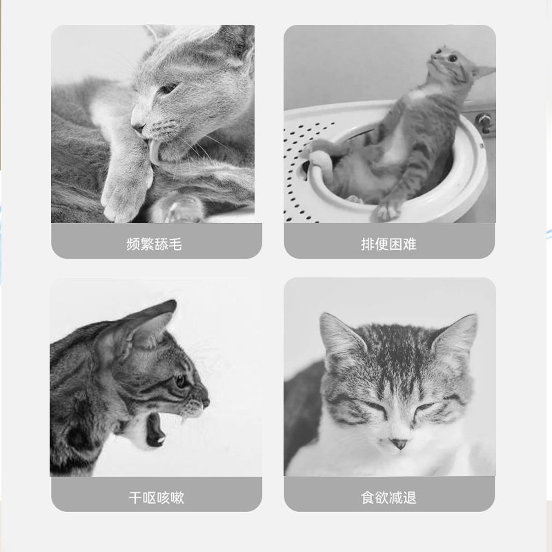 零谷化毛球猫草片天然温和排毛化毛呵护肠道补充营养膏缓解便臭,淘宝优惠券,粉丝福利购,淘宝优惠卷