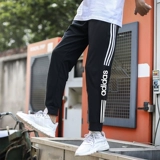 Adidas, осенние тонкие штаны, свободный прямой крой