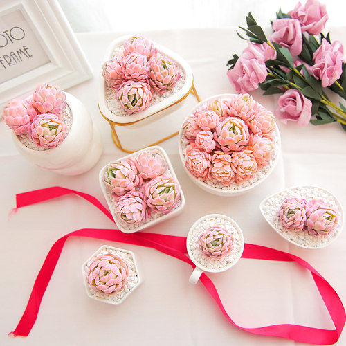 冰梅多肉植物组合盆栽小叶多肉老桩日系肉肉花大多肉群生冰莓多肉 - 图3