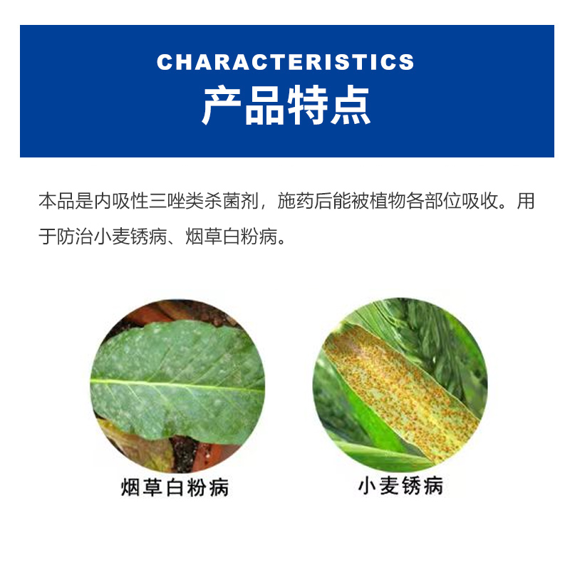 剑福44%三唑酮悬浮剂豆角蔬菜花卉玉米锈病白粉病农药杀菌剂200克 - 图1