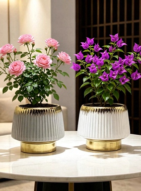 现代高级感陶瓷花盆蝴蝶兰红掌白掌专用盆室内客厅桌面绿植鲜花盆