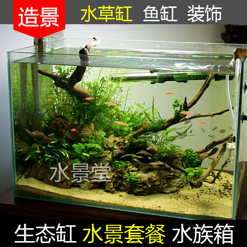 杜鹃根造景套餐 懒人水草缸缸底沙石白沙白石玻璃鱼缸水族箱 - 图3