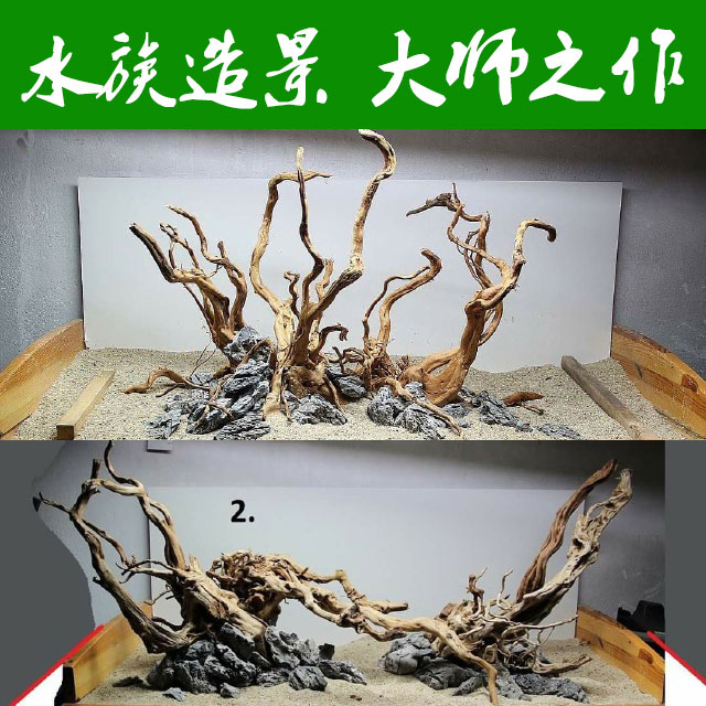 杜鹃根造景套餐沉木水草鱼缸青龙石生态水草水族箱装饰白沙子-图0