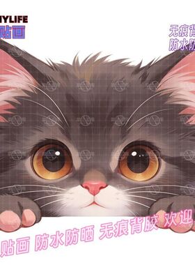 创意猫咪头像后窗划痕墙贴防水贴