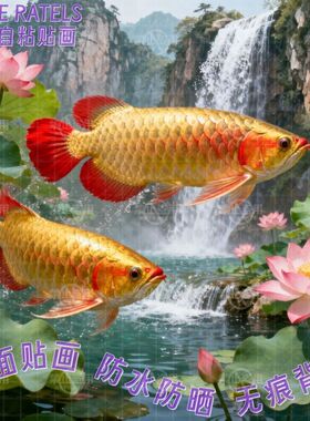金龙鱼红龙鱼招财好运贴画贴墙上