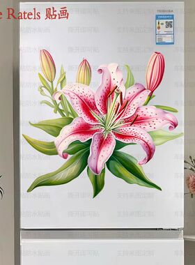 星空百合花剪贴画花卉图像贴纸餐厅房间车贴柜门贴墙上冰箱贴装饰