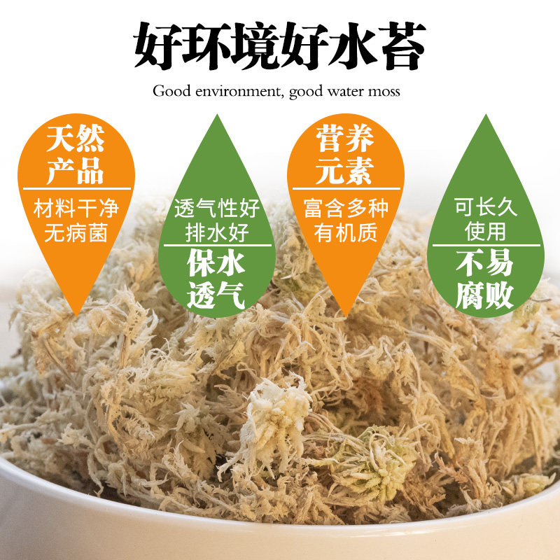 蝴蝶兰专用水苔干苔藓乌龟冬眠垫材天然石斛种植介质兰花栽培基质,淘宝优惠券,粉丝福利购,淘宝优惠卷