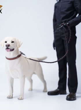 JXK1/6拉布拉多宠物狗玩偶简约仿真树脂桌面模型动物日常手办摆件