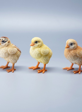 仿真可爱车载桌面摆件